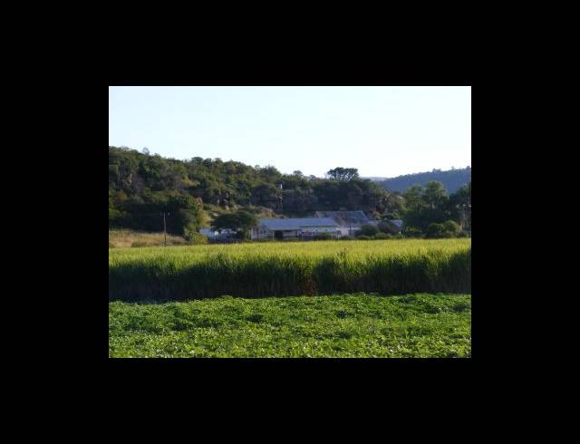 200HA FARM FOR SALE IN MUDEN